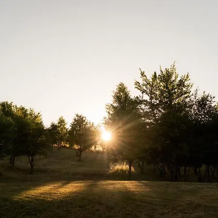 Farkaskútvölgy * Felsőtold