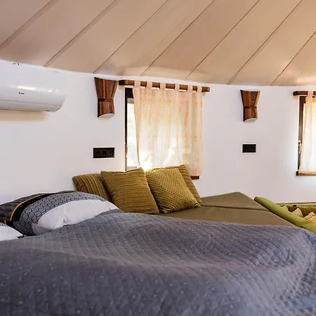 Apartament Farkaskutvoelgy Felsőtold