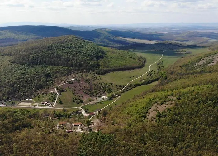 Farkaskutvoelgy